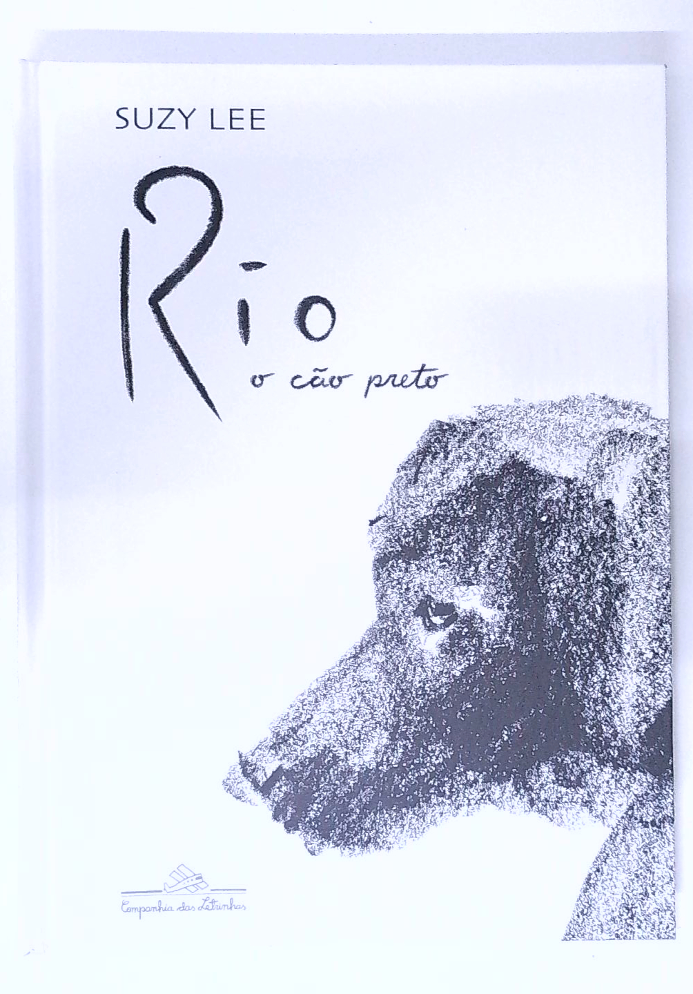 Capa do livro Rio, o Cão Preto