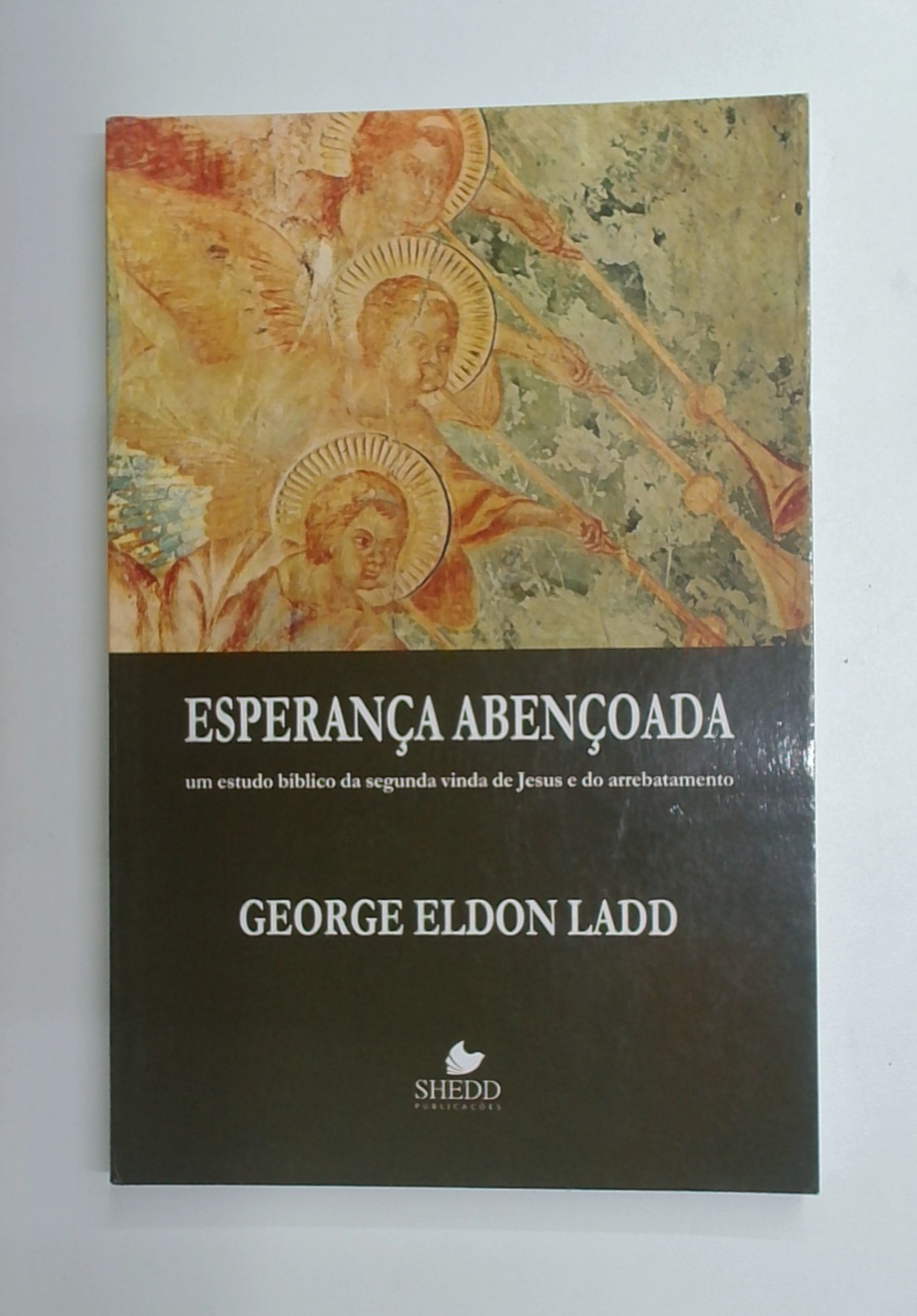 Capa do livro Esperança Abençoada