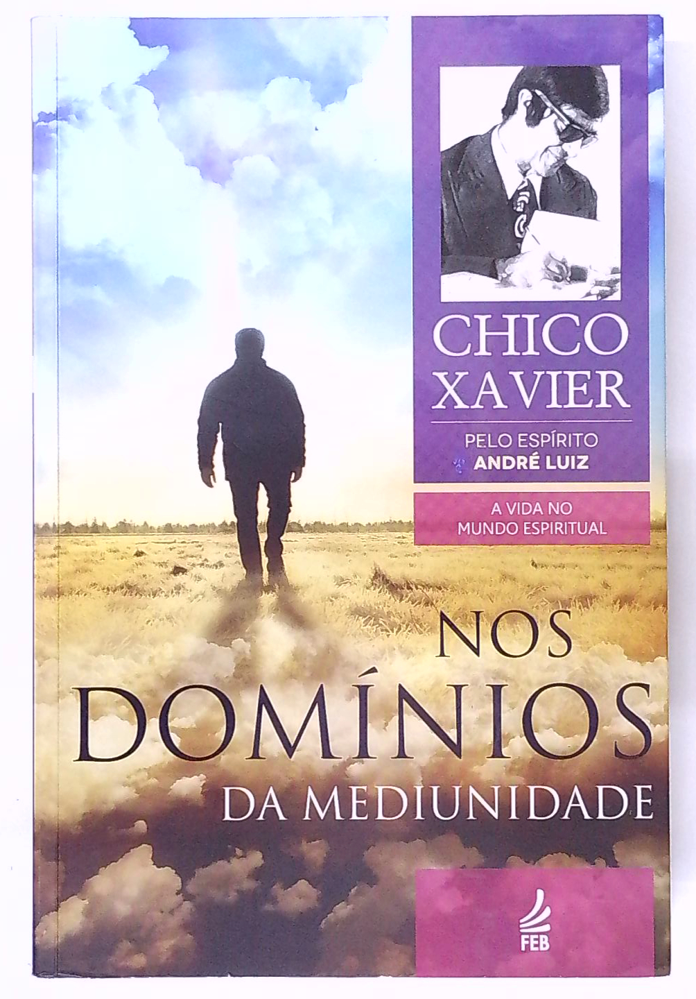 Capa do livro Nos Domínios da Mediunidade