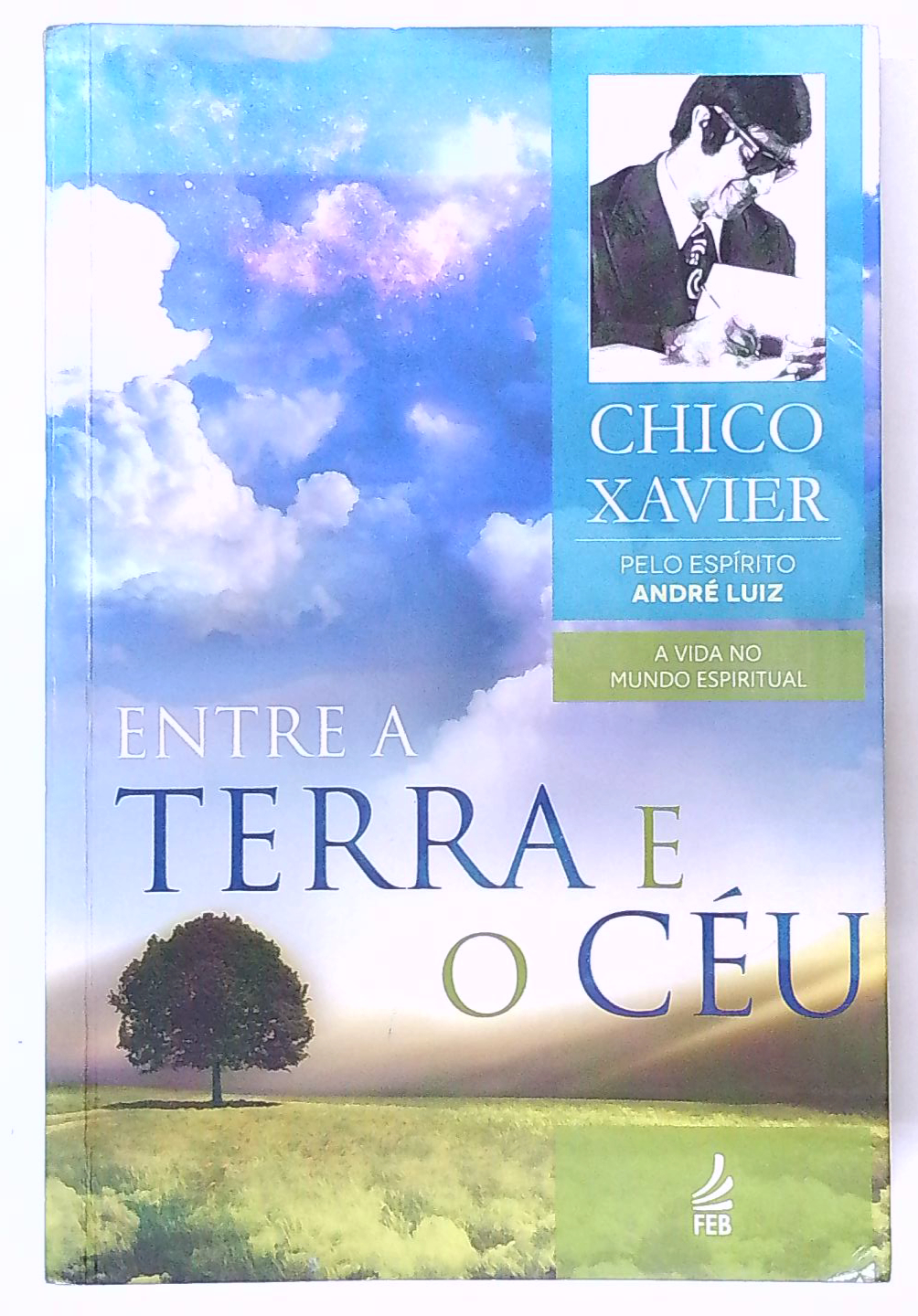 Capa do livro Entre a Terra e o Céu