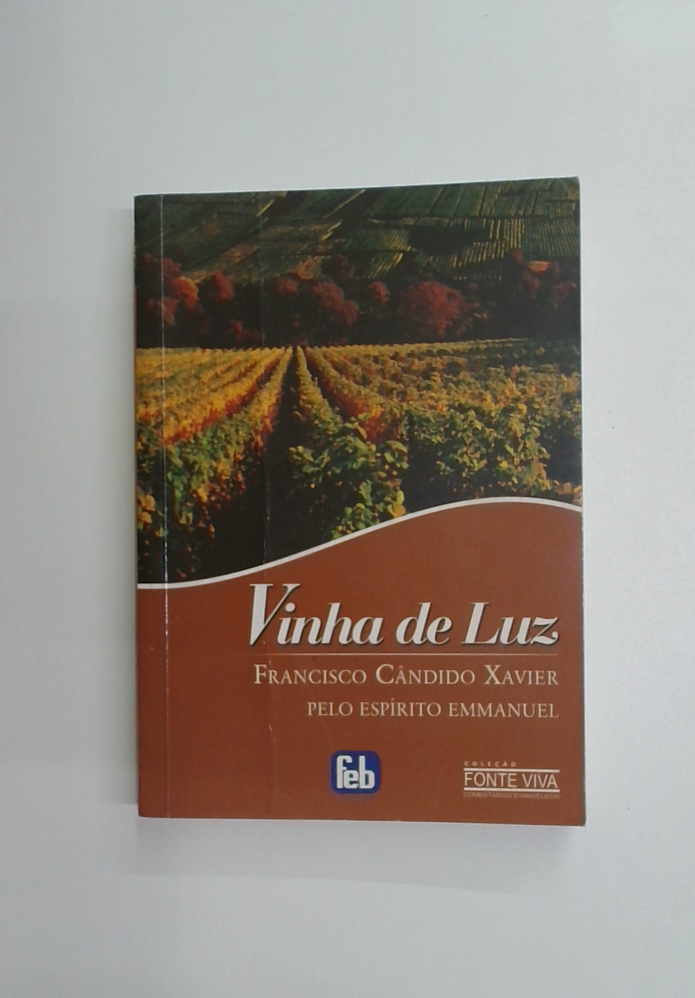 Capa do livro Vinha de Luz