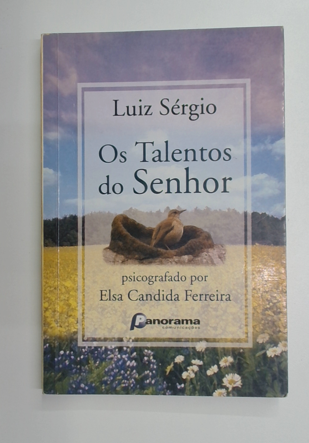 Capa do livro Os Talentos do Senhor