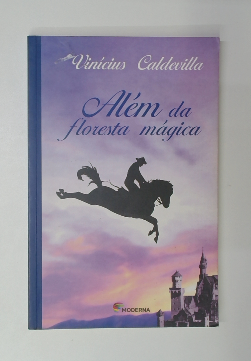 Capa do livro Além da Floresta Mágica
