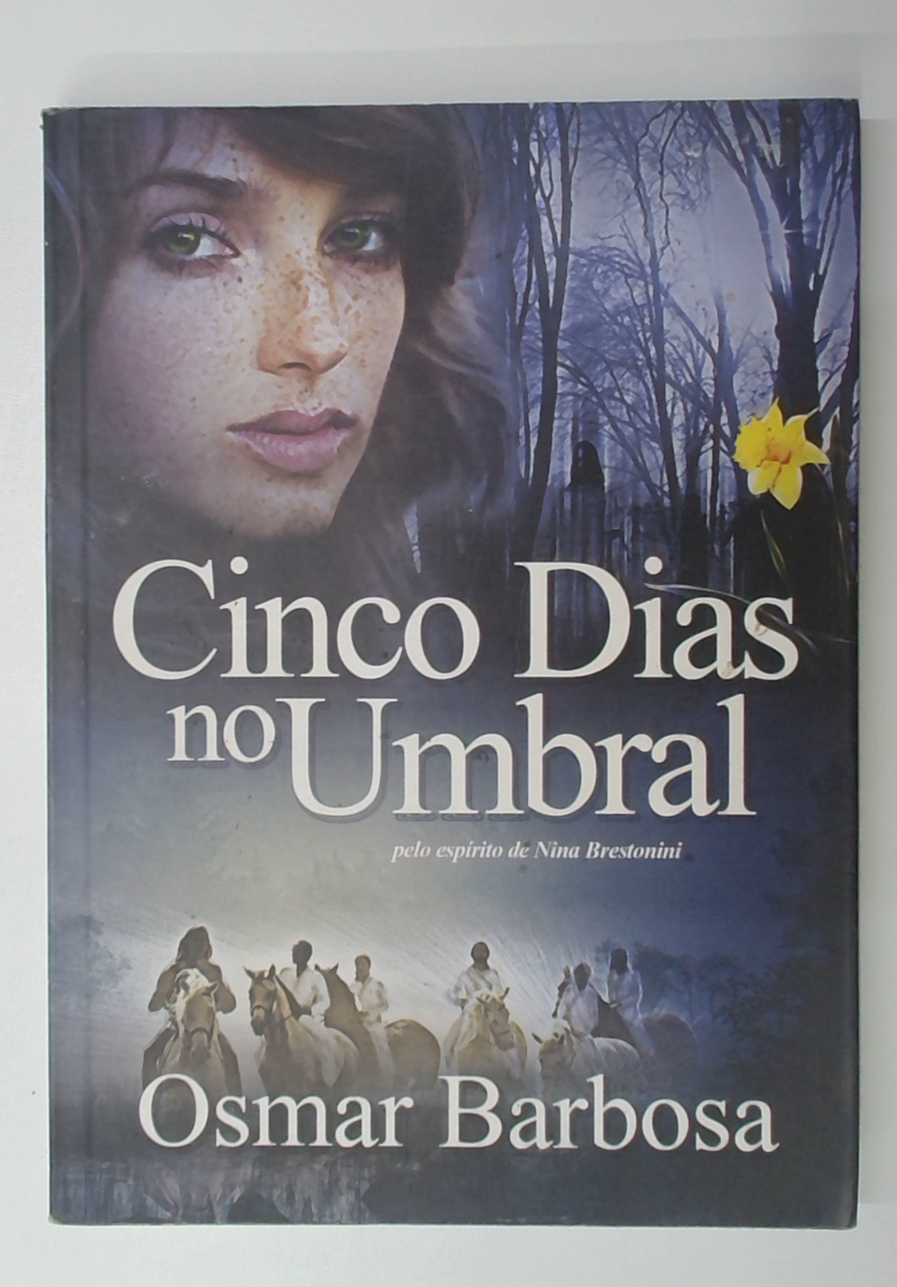 Capa do livro Cinco Dias no Umbral