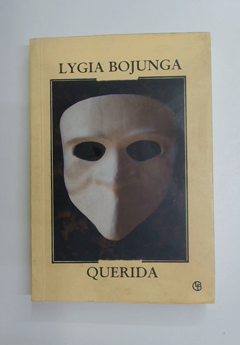 Capa do livro Querida
