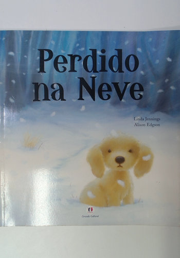 Capa do livro Perdido na Neve