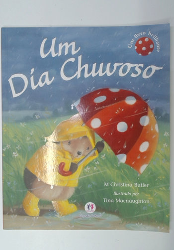 Capa do livro Um Dia Chuvoso