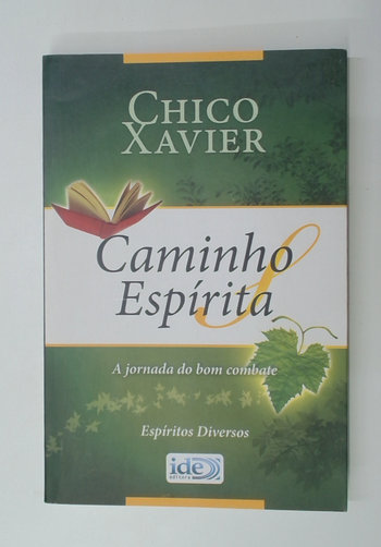 Capa do livro Caminho Espírita