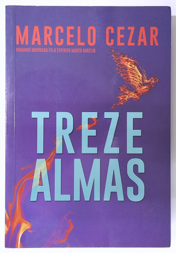 Capa do livro Treze Almas