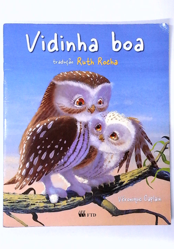 Capa do livro Vidinha Boa